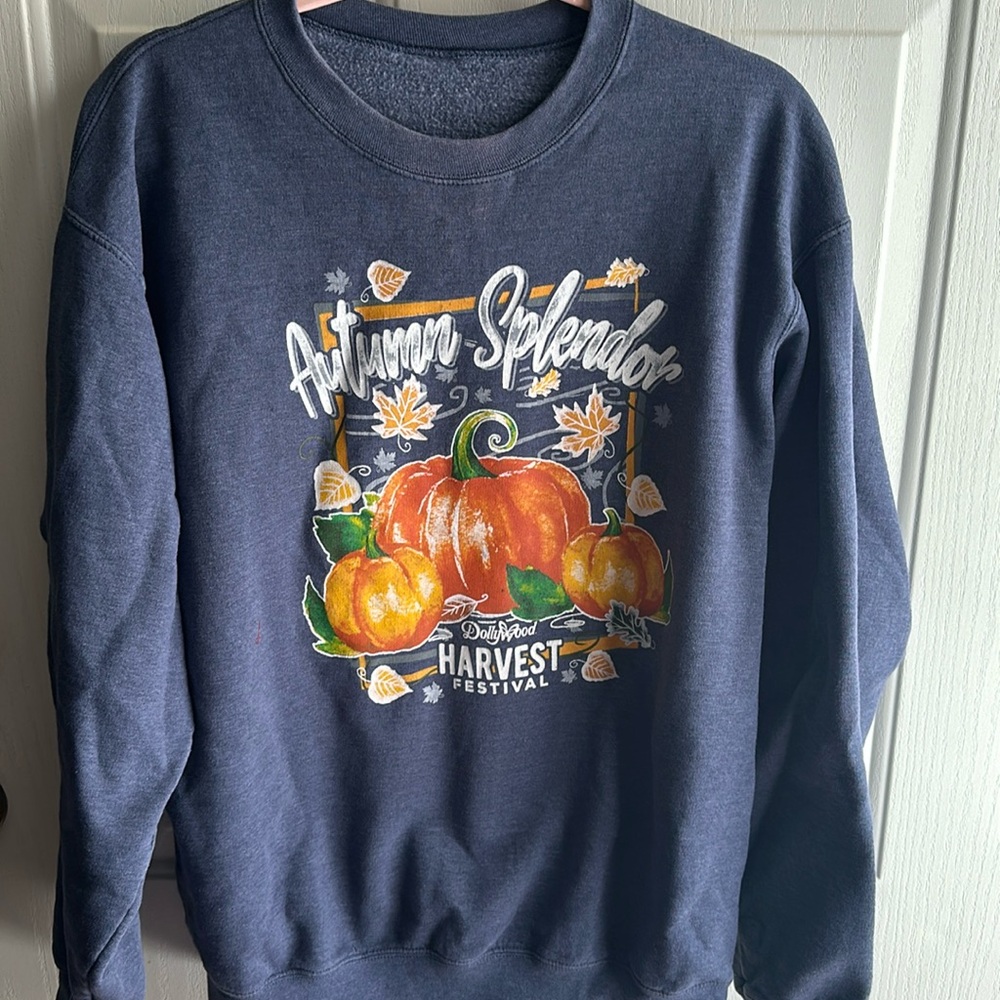 Dollywood Fall Autumn Sweatshirt